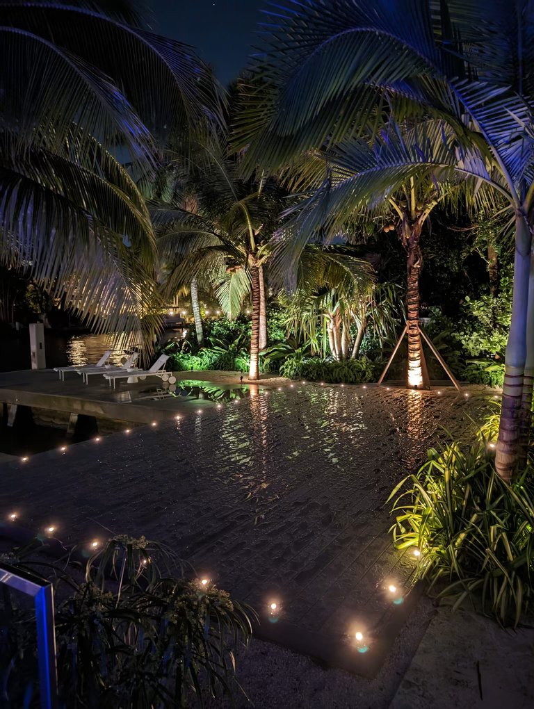 Pool and palm trees illuminated by landscape lighting at night
